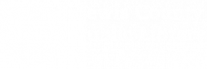 Lewis County Public Library and Archives Logo